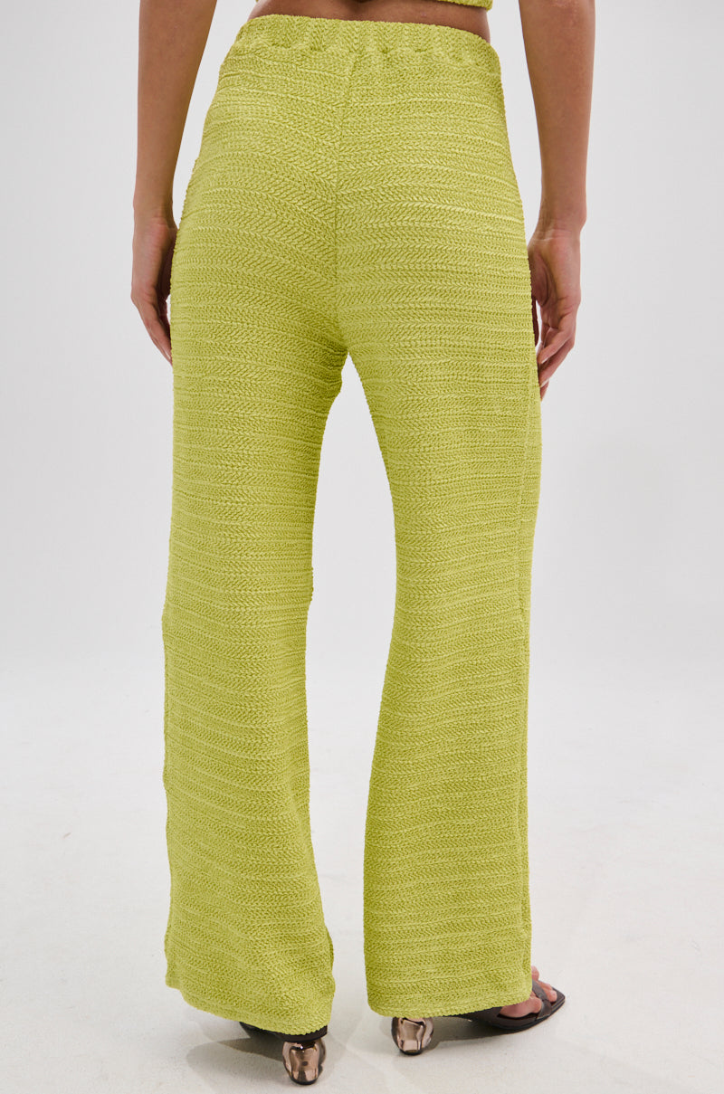 HOLLYWOOD SLINKY TEXTURED PALAZZO PANT IN GREEN