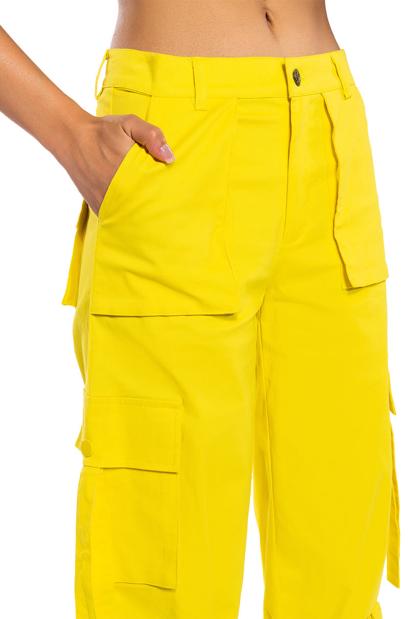 IT IS BACK CARGO PANTS
