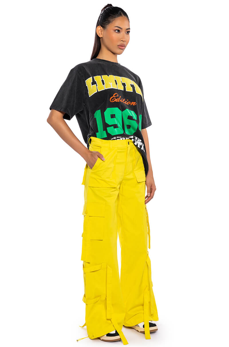 IT IS BACK CARGO PANTS
