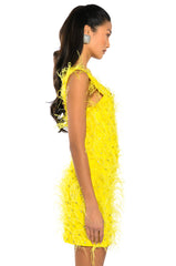 RENDEZVOUS SLEEVELESS FEATHER MINI DRESS